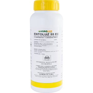 Entoluz-55-EC